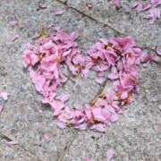 ヒメ日記 2025/03/31 06:54 投稿 きこ 千葉ミセスアロマ（ユメオト）