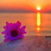 ヒメ日記 2025/04/05 19:36 投稿 きこ 千葉ミセスアロマ（ユメオト）