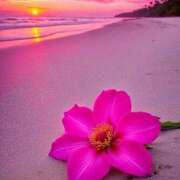 ヒメ日記 2025/04/29 19:26 投稿 きこ 千葉ミセスアロマ（ユメオト）