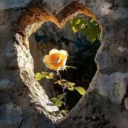 ヒメ日記 2025/05/03 19:50 投稿 きこ 千葉ミセスアロマ（ユメオト）