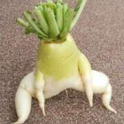 ヒメ日記 2025/05/26 06:43 投稿 きこ 千葉ミセスアロマ（ユメオト）