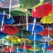 ヒメ日記 2025/06/25 06:58 投稿 きこ 千葉ミセスアロマ（ユメオト）