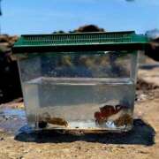 ヒメ日記 2025/07/05 18:23 投稿 きこ 千葉ミセスアロマ（ユメオト）