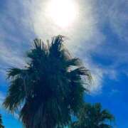 ヒメ日記 2025/07/29 06:51 投稿 きこ 千葉ミセスアロマ（ユメオト）