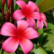 ヒメ日記 2025/08/04 18:28 投稿 きこ 千葉ミセスアロマ（ユメオト）