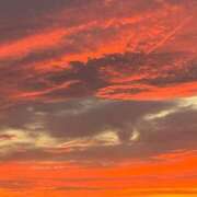 ヒメ日記 2025/08/09 17:42 投稿 きこ 千葉ミセスアロマ（ユメオト）