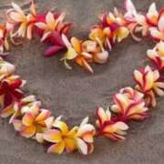 ヒメ日記 2025/09/10 12:17 投稿 きこ 千葉ミセスアロマ（ユメオト）