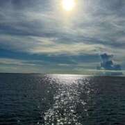 ヒメ日記 2025/09/19 16:34 投稿 きこ 千葉ミセスアロマ（ユメオト）