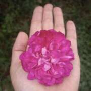 ヒメ日記 2025/10/13 16:21 投稿 きこ 千葉ミセスアロマ（ユメオト）