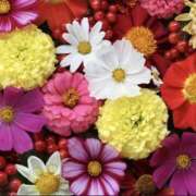 ヒメ日記 2025/10/16 11:28 投稿 きこ 千葉ミセスアロマ（ユメオト）