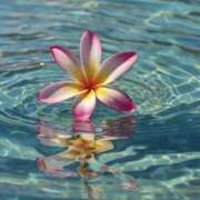 ヒメ日記 2025/10/17 06:40 投稿 きこ 千葉ミセスアロマ（ユメオト）