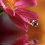 ヒメ日記 2025/10/27 06:50 投稿 きこ 千葉ミセスアロマ（ユメオト）