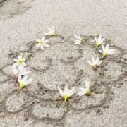 ヒメ日記 2025/11/03 06:51 投稿 きこ 千葉ミセスアロマ（ユメオト）