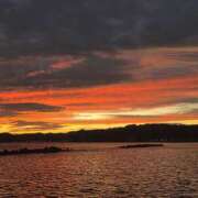 ヒメ日記 2025/11/07 06:50 投稿 きこ 千葉ミセスアロマ（ユメオト）