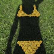 ヒメ日記 2025/11/15 06:55 投稿 きこ 千葉ミセスアロマ（ユメオト）