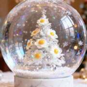 ヒメ日記 2025/12/13 07:28 投稿 きこ 千葉ミセスアロマ（ユメオト）