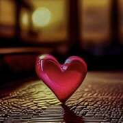 ヒメ日記 2025/12/20 16:53 投稿 きこ 千葉ミセスアロマ（ユメオト）