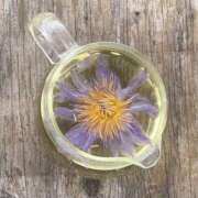 ヒメ日記 2026/02/07 06:57 投稿 きこ 千葉ミセスアロマ（ユメオト）