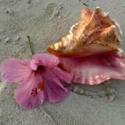 ヒメ日記 2026/02/21 08:57 投稿 きこ 千葉ミセスアロマ（ユメオト）