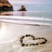 ヒメ日記 2026/03/09 08:49 投稿 きこ 千葉ミセスアロマ（ユメオト）