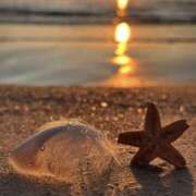 ヒメ日記 2026/03/23 17:01 投稿 きこ 千葉ミセスアロマ（ユメオト）