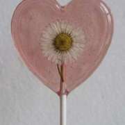 ヒメ日記 2026/04/02 07:02 投稿 きこ 千葉ミセスアロマ（ユメオト）