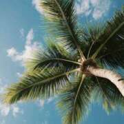 きこ ♥️ありがとうございます♥️ 千葉ミセスアロマ（ユメオト）