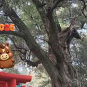 ヒメ日記 2026/01/20 23:17 投稿 みやび 千葉ミセスアロマ（ユメオト）