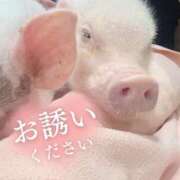 ヒメ日記 2026/07/22 09:15 投稿 みやび 千葉ミセスアロマ（ユメオト）