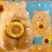 みやび 発情期 千葉ミセスアロマ（ユメオト）