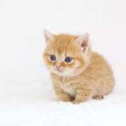 ヒメ日記 2025/09/02 17:29 投稿 ゆきは 千葉ミセスアロマ（ユメオト）