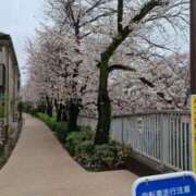 ヒメ日記 2025/04/03 00:20 投稿 いつき 奥様特急　池袋・大塚店