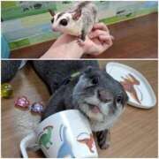 ヒメ日記 2025/05/10 20:56 投稿 いつき 奥様特急　池袋・大塚店