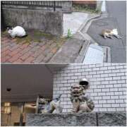 ヒメ日記 2025/06/05 01:52 投稿 いつき 奥様特急　池袋・大塚店