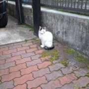 ヒメ日記 2025/06/09 04:50 投稿 いつき 奥様特急　池袋・大塚店