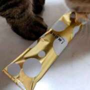 ヒメ日記 2025/07/10 05:10 投稿 いつき 奥様特急　池袋・大塚店