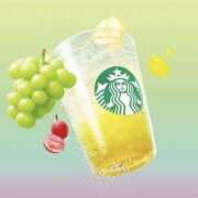 ヒメ日記 2025/07/30 05:26 投稿 いつき 奥様特急　池袋・大塚店