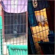 ヒメ日記 2026/02/12 03:50 投稿 いつき 奥様特急　池袋・大塚店