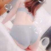 ヒメ日記 2025/05/08 08:34 投稿 しおり チューリップ熊本店