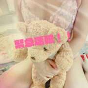 ヒメ日記 2025/11/03 06:20 投稿 しおり チューリップ熊本店