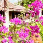 ヒメ日記 2025/11/10 11:37 投稿 高瀬まどかmarvelous -NEO-皇帝別館（中央街）