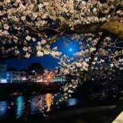 ヒメ日記 2025/04/08 21:20 投稿 えま WHITE（金沢）