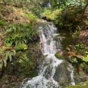 ヒメ日記 2025/04/20 21:17 投稿 えま WHITE（金沢）