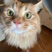 ヒメ日記 2025/05/17 21:03 投稿 えま WHITE（金沢）