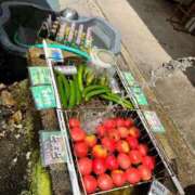 ヒメ日記 2025/05/17 21:06 投稿 えま WHITE（金沢）