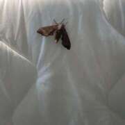 ヒメ日記 2025/05/27 23:17 投稿 えま WHITE（金沢）