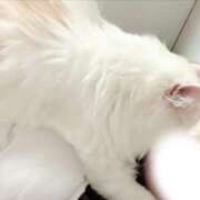 ヒメ日記 2025/05/29 21:29 投稿 えま WHITE（金沢）