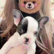 ヒメ日記 2025/05/31 21:25 投稿 えま WHITE（金沢）