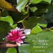 ヒメ日記 2025/06/06 21:10 投稿 えま WHITE（金沢）