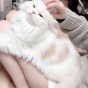 ヒメ日記 2025/06/08 18:27 投稿 えま WHITE（金沢）